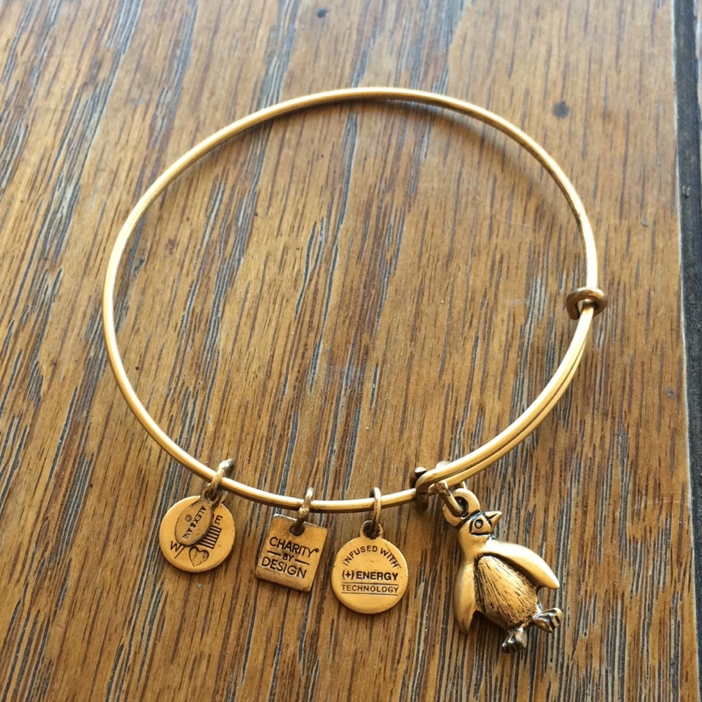 Alex & Ani penguin bracelet bangle